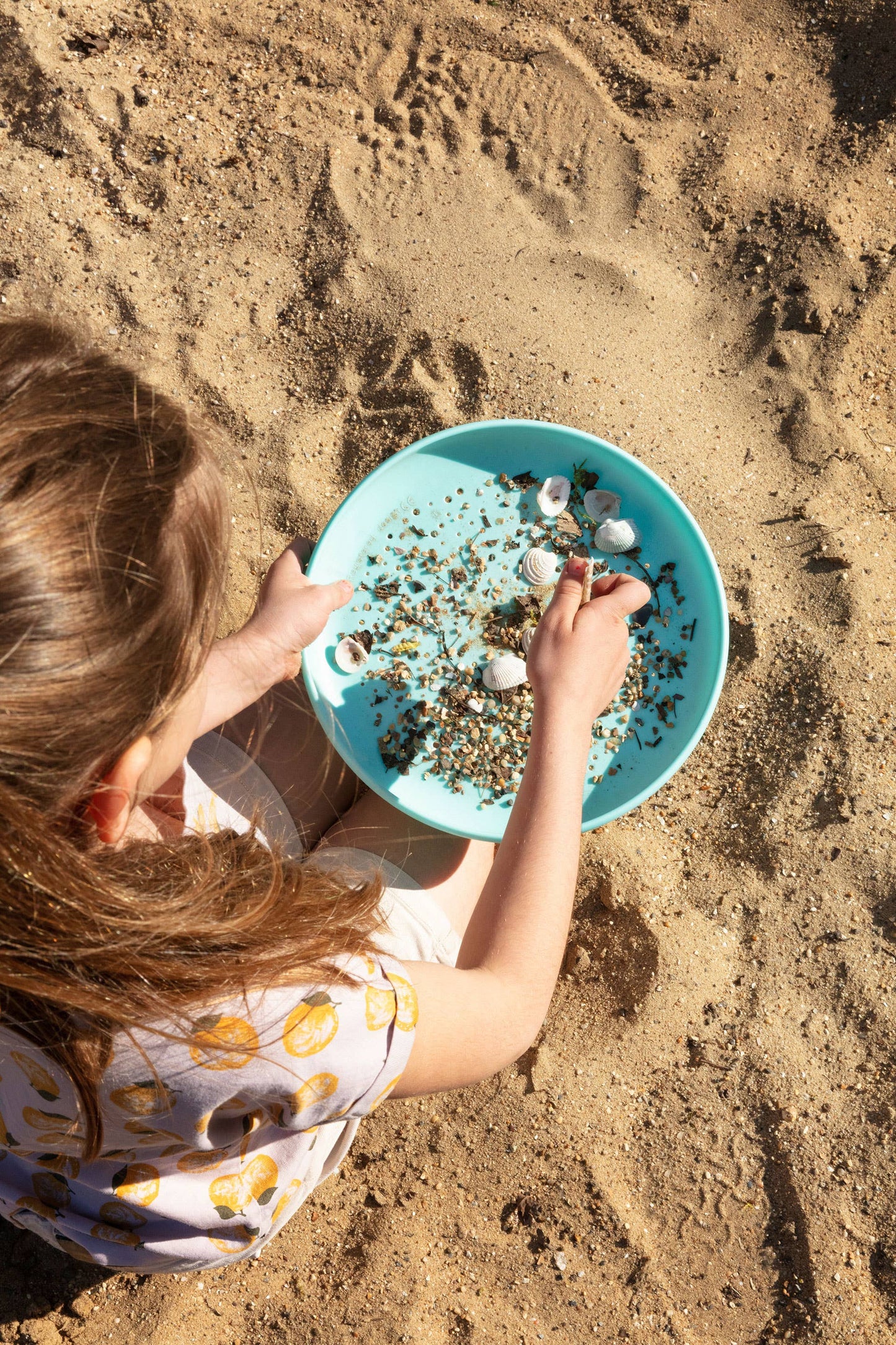 Flying Disc and Sand Sifter